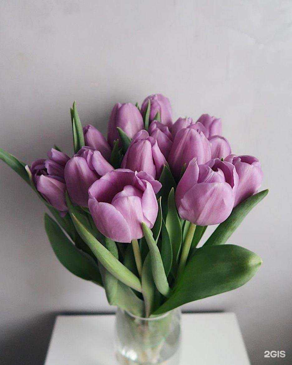 Отзывы на компанию Колибри в Омске c фото