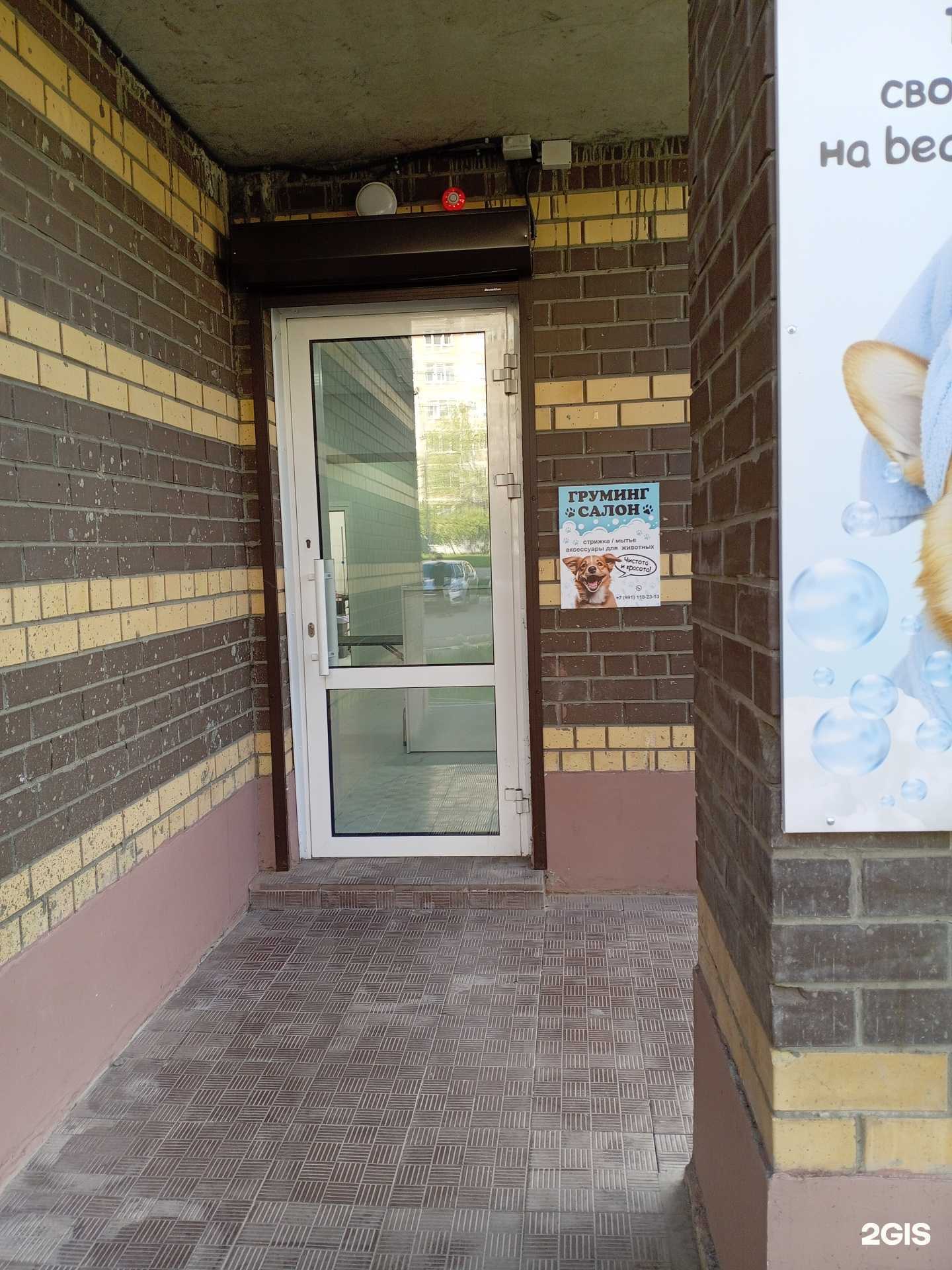 Отзывы на компанию Груминг салон в Саранске c фото