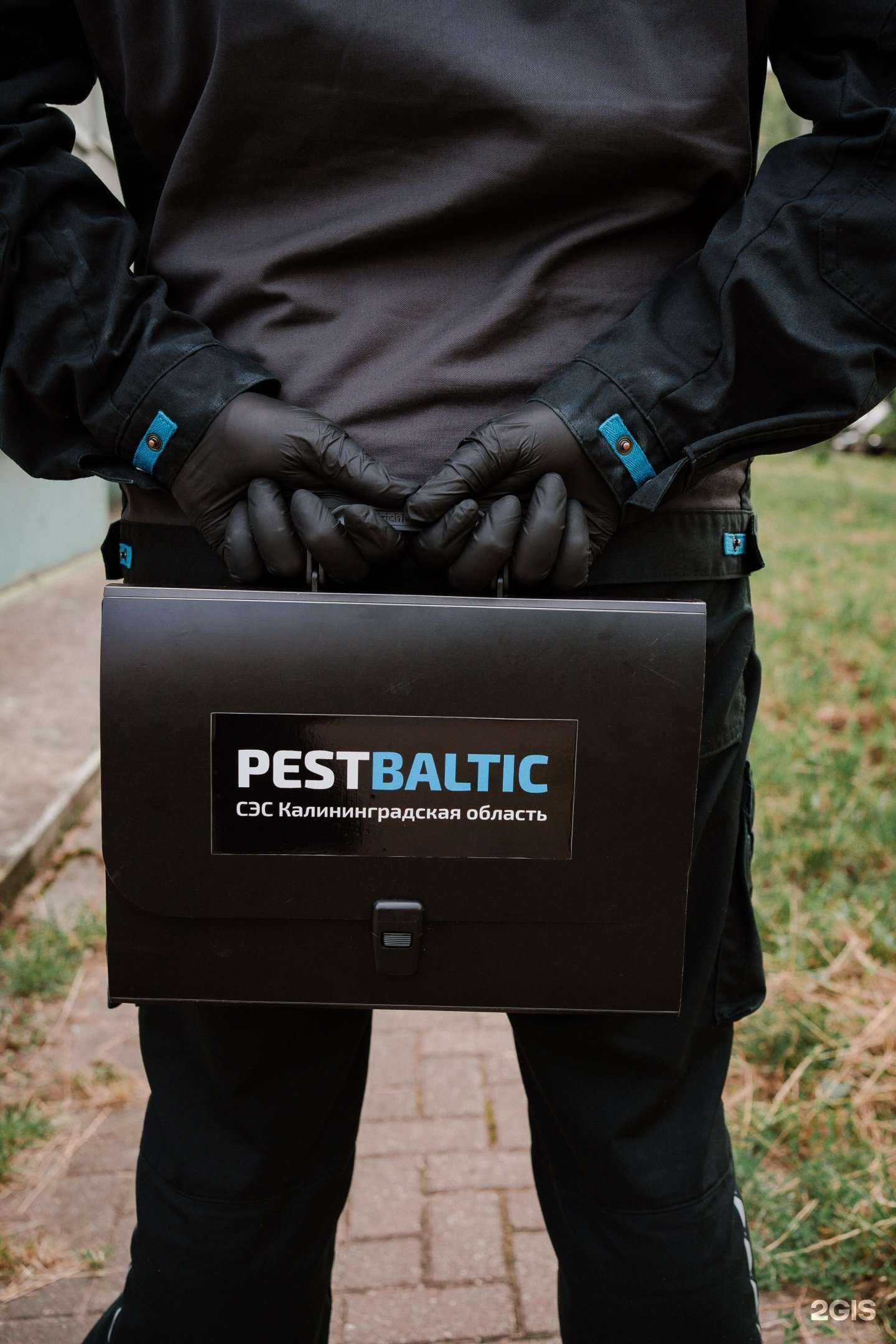 Отзывы на компанию Пест Балтик в Калининграде c фото
