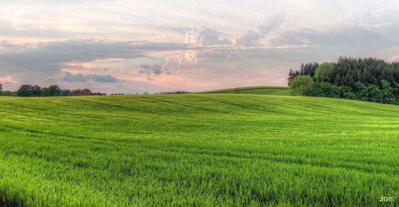 Отзывы на компанию Современные Технологии Аграриев в Рязани c фото