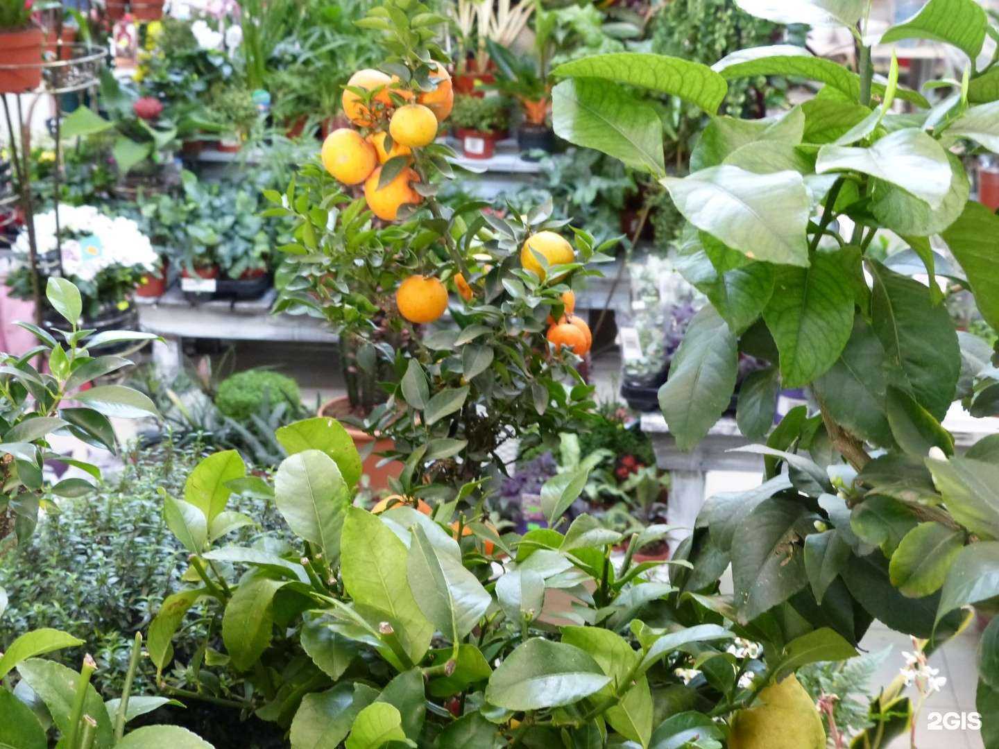 Отзывы на компанию Юнифлер в Ростове-на-Дону c фото