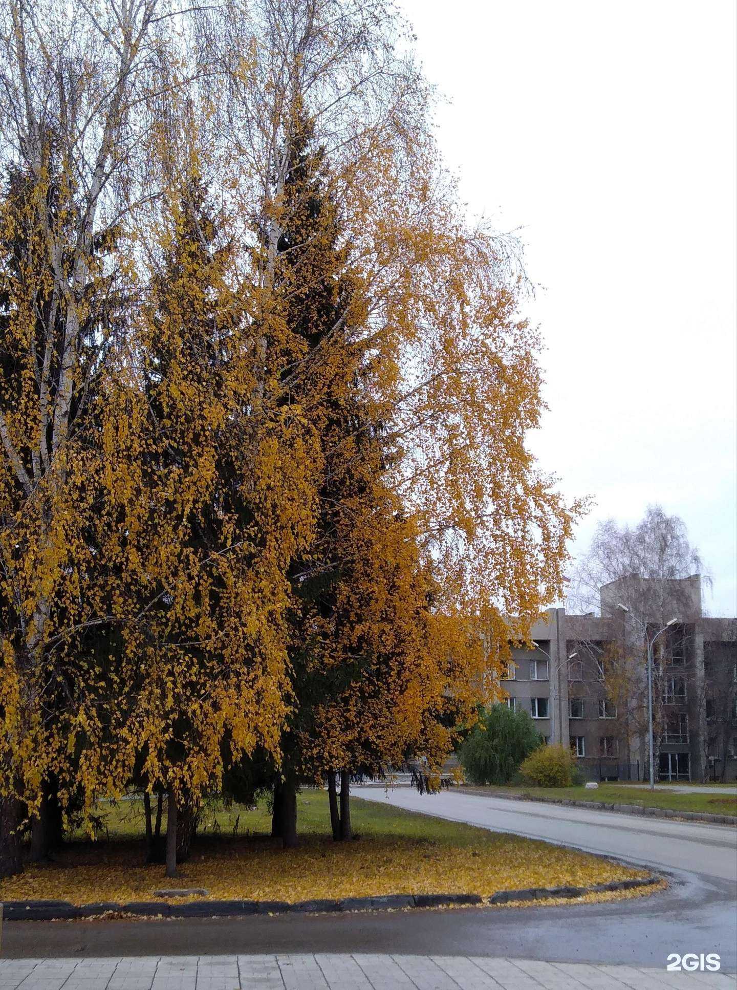 Отзывы на компанию Ёмкость в Новосибирске c фото - фотография 2 из 2