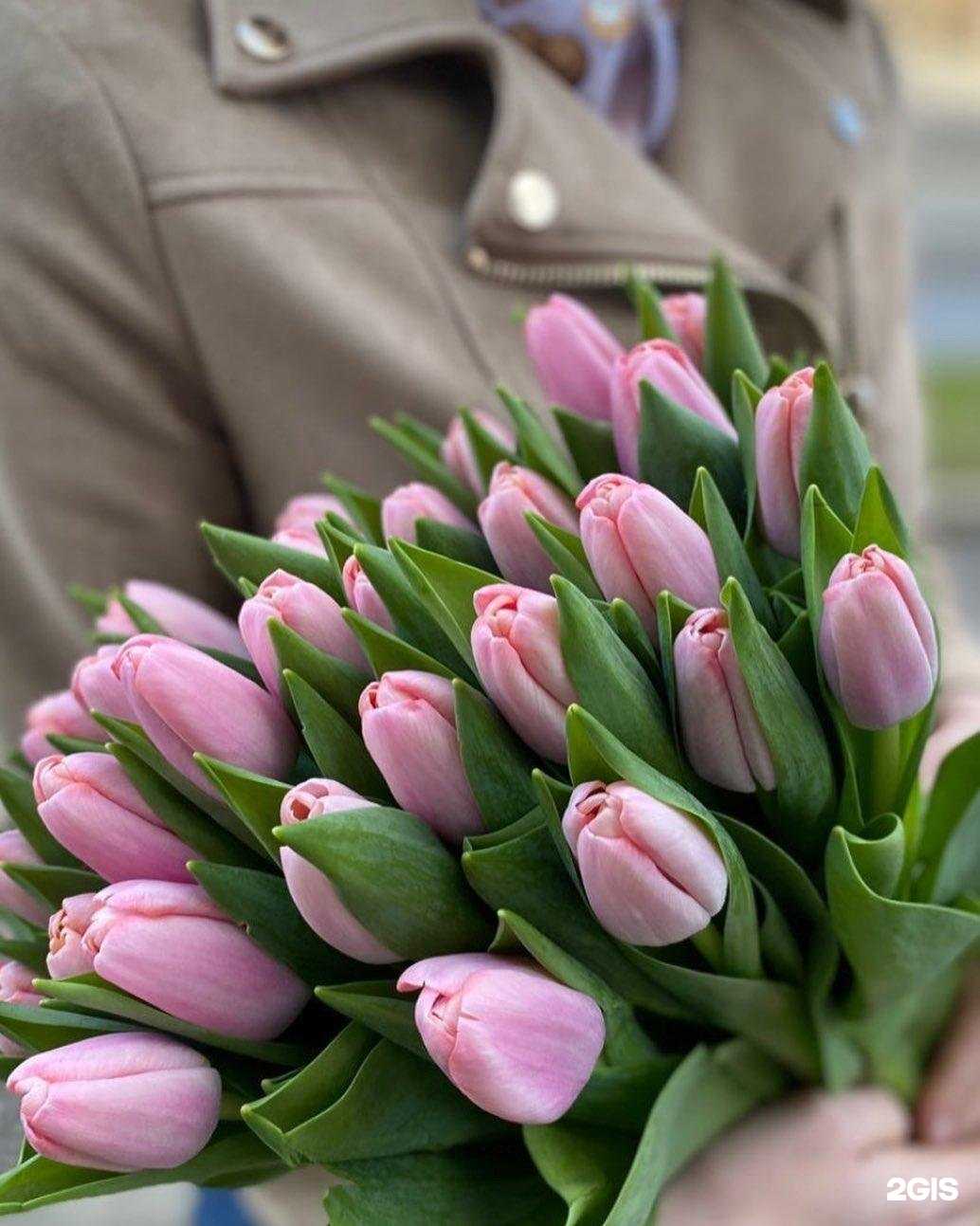 Отзывы на компанию Городские цветы в г. Смоленск c фото