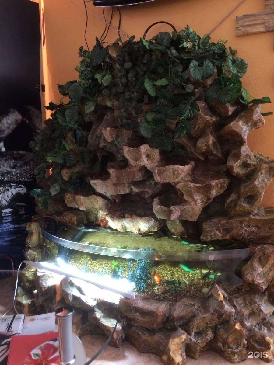 Отзывы на компанию Mango в г. Норильск c фото