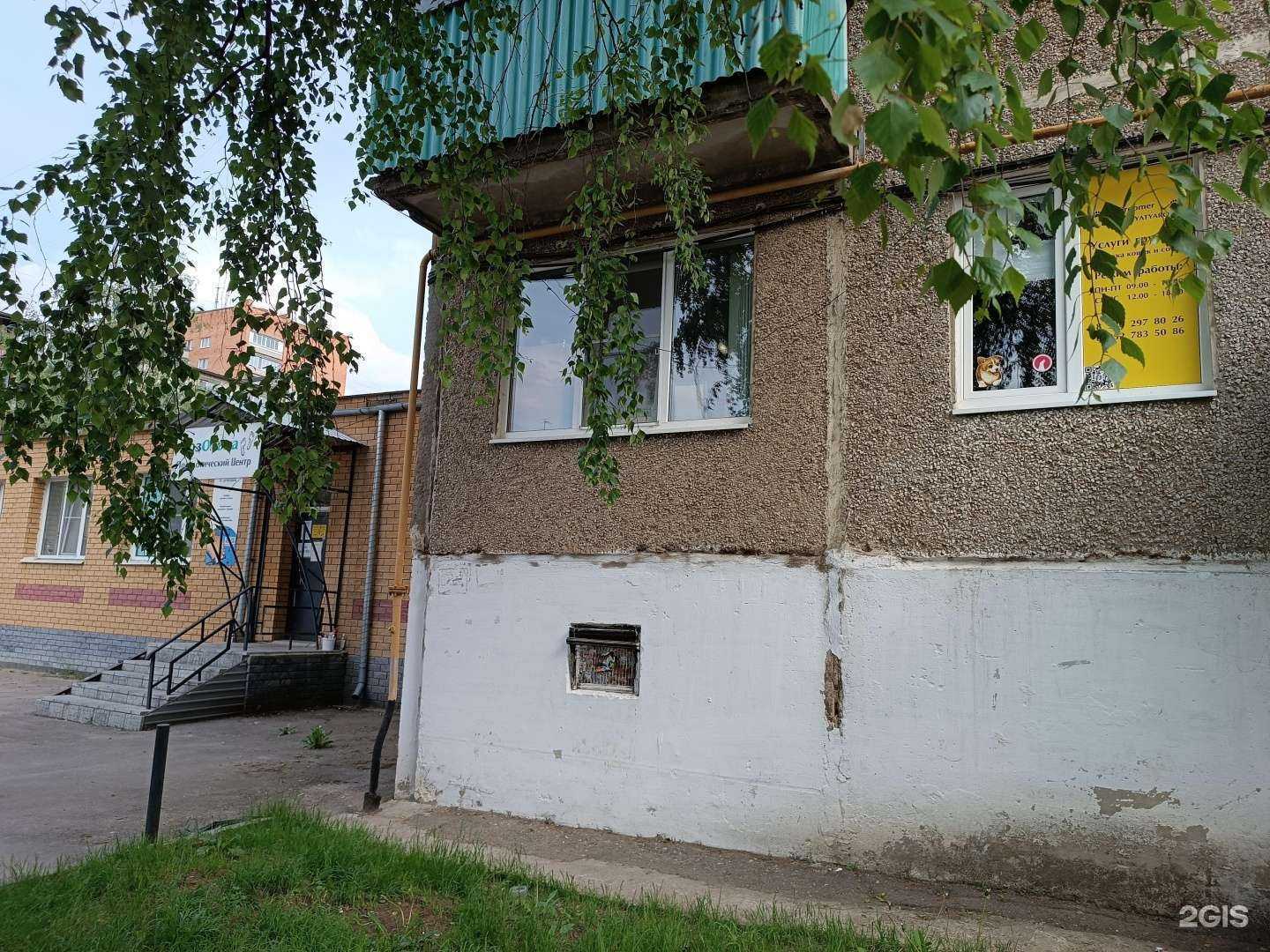 Отзывы на компанию Студия грумера в Кстове c фото