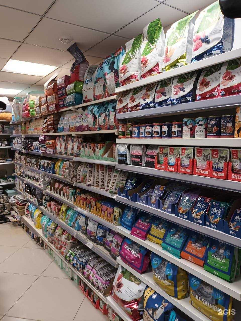 Отзывы на компанию Кот и Пёс в Якутске c фото