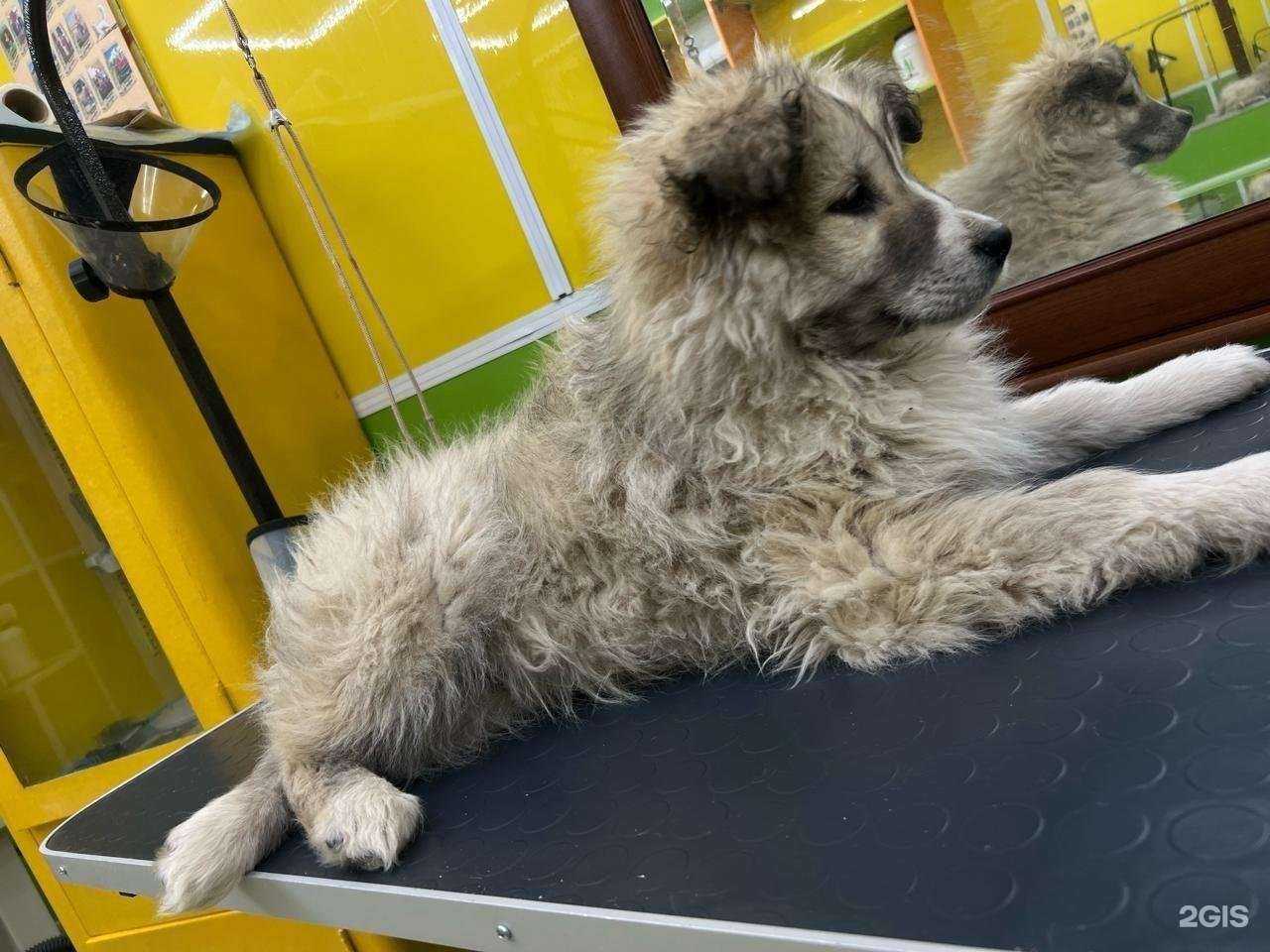 Отзывы на компанию Ёжкин Кот в г. Нижневартовск c фото