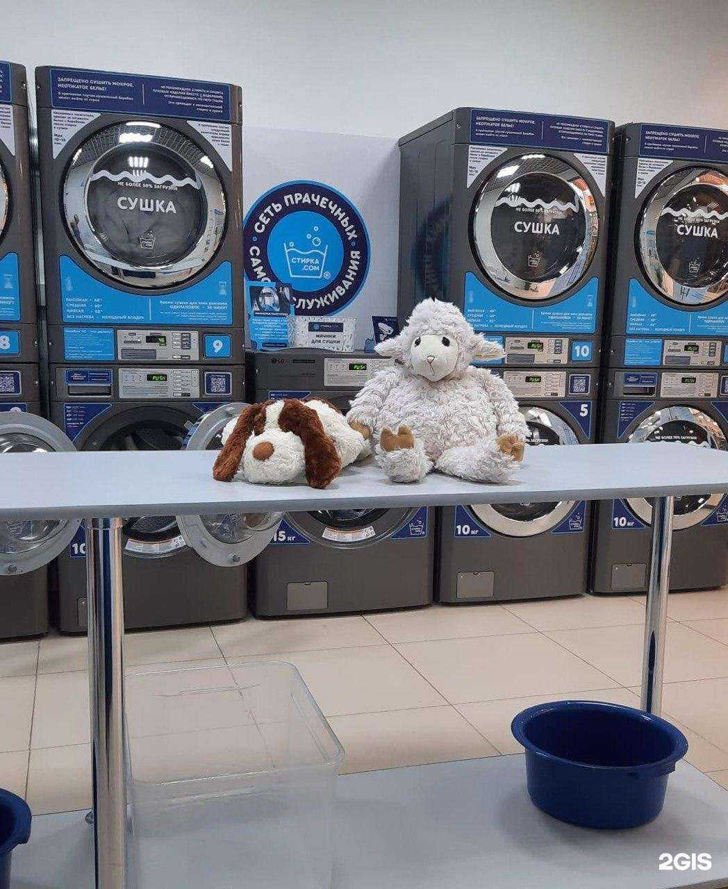 Отзывы на компанию Стирка.com в Петрозаводске c фото