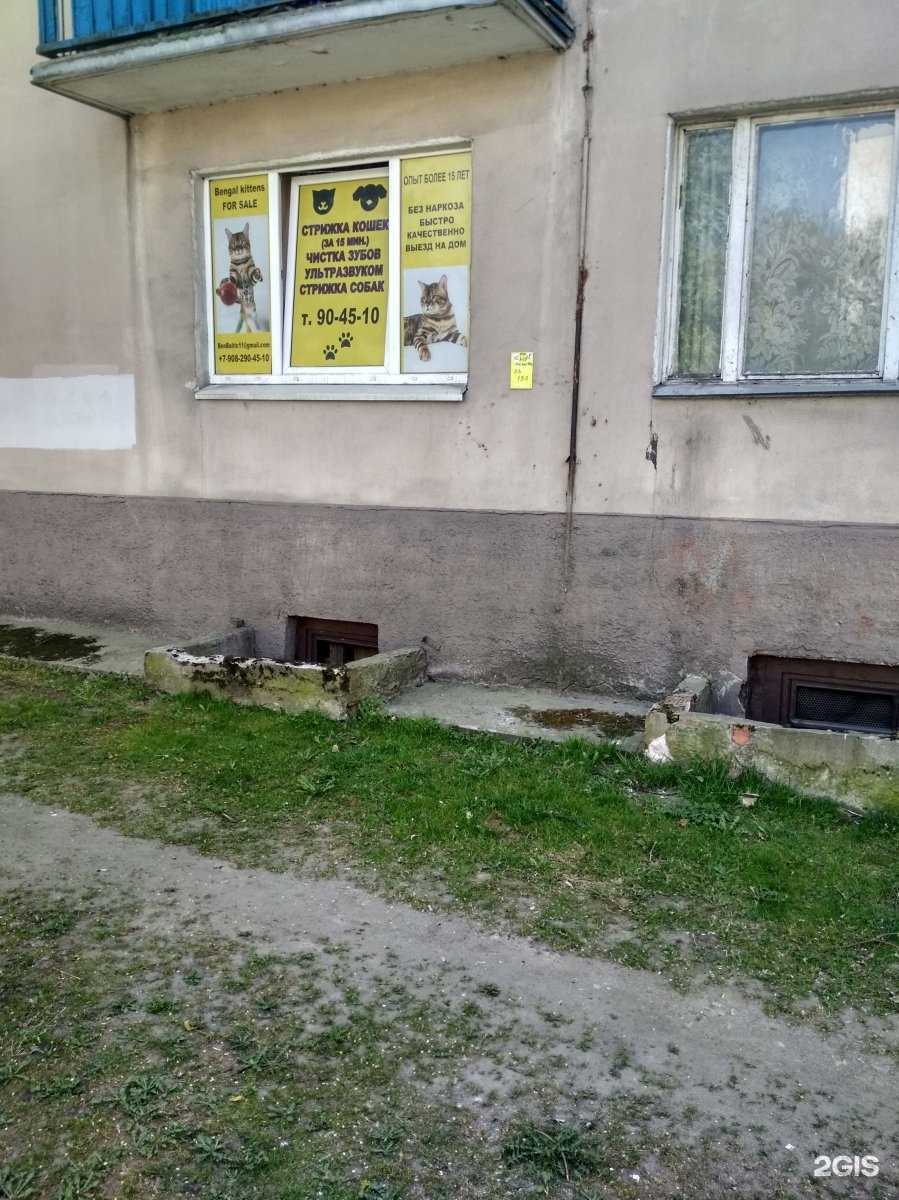 Отзывы на компанию Алиса в Калининграде c фото