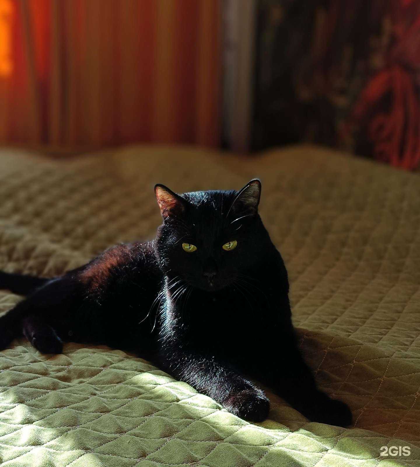 Отзывы на компанию Ваш Айболит в Ноябрьске c фото