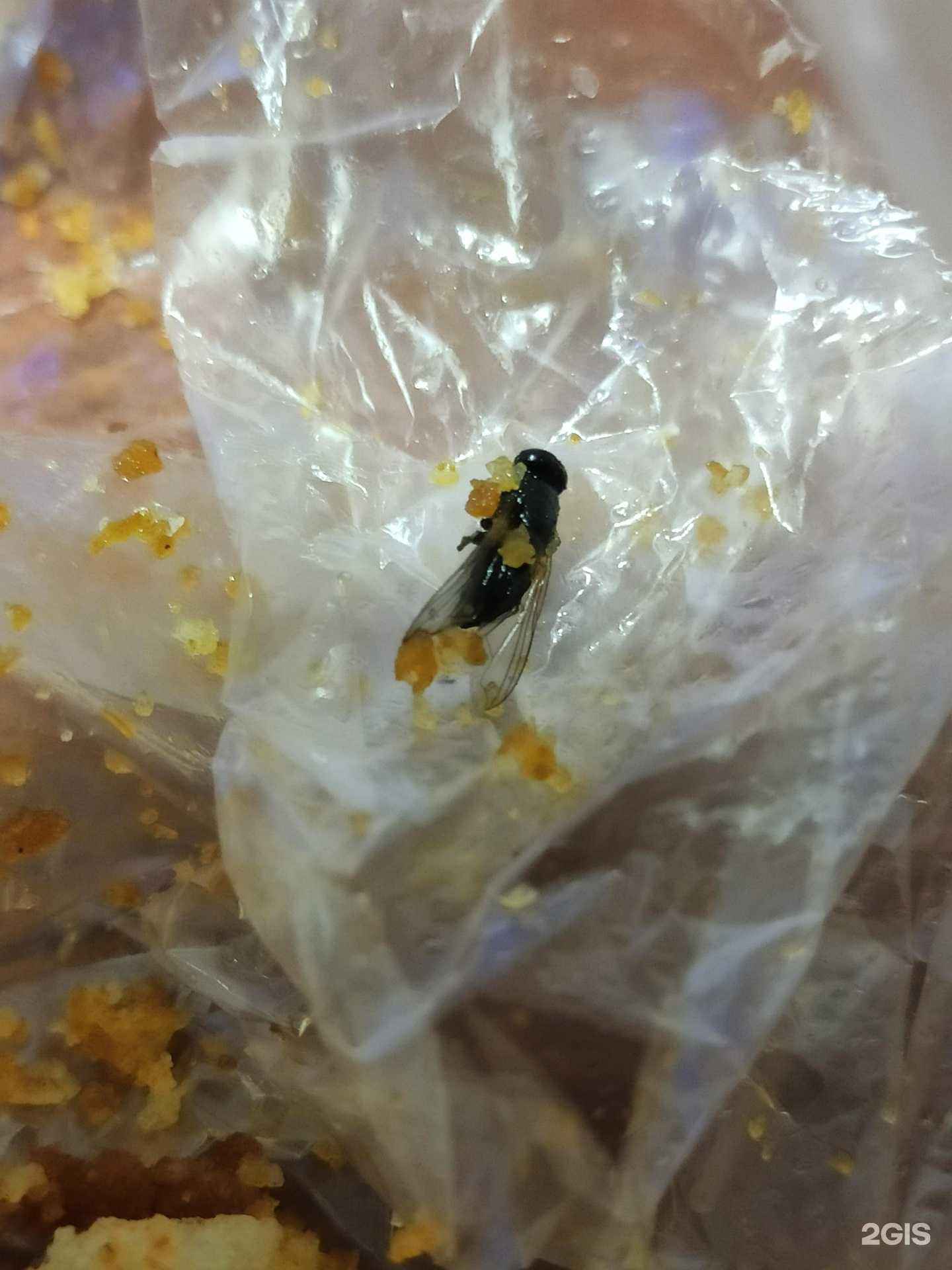 Отзывы на компанию Пивной причал в г. Красноярск c фото