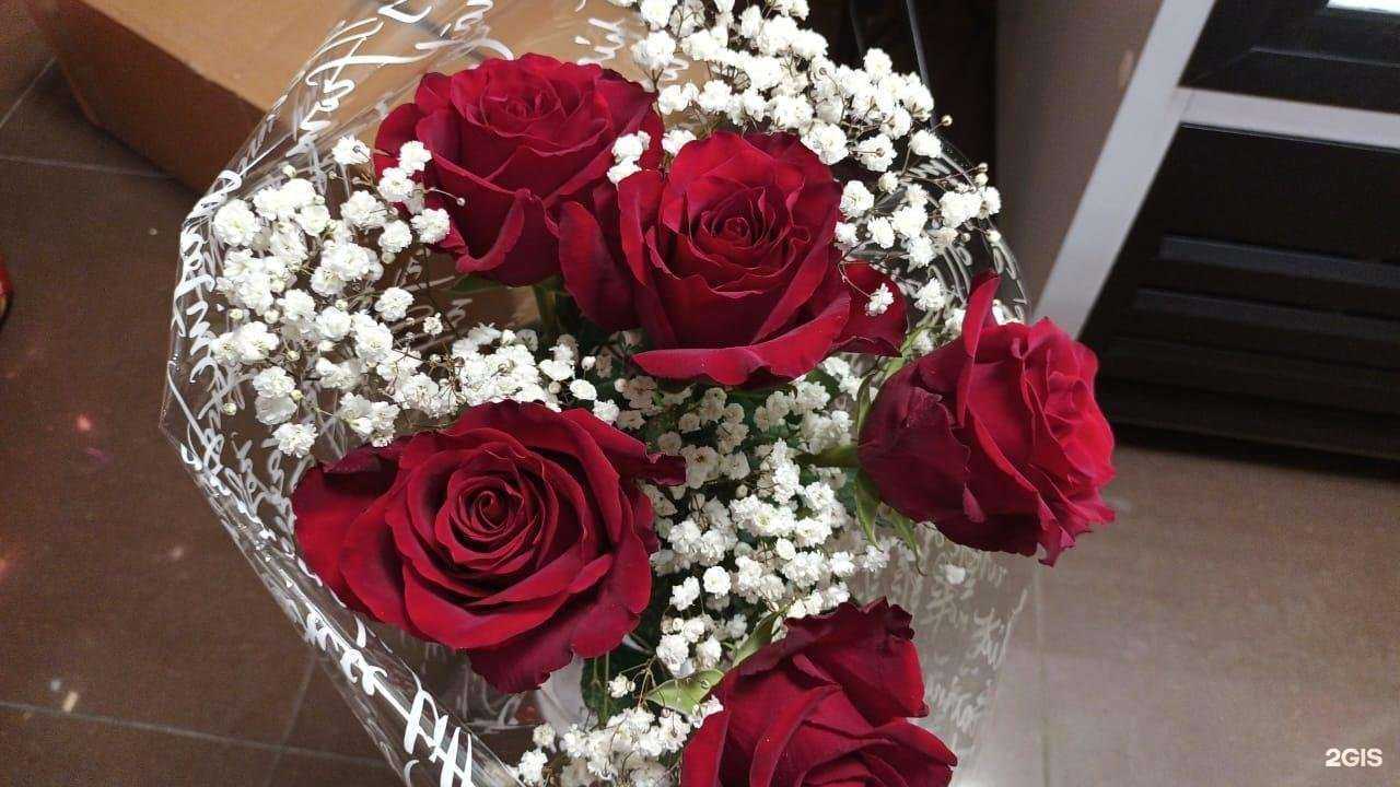 Отзывы на компанию Bi_happi в Абакане c фото