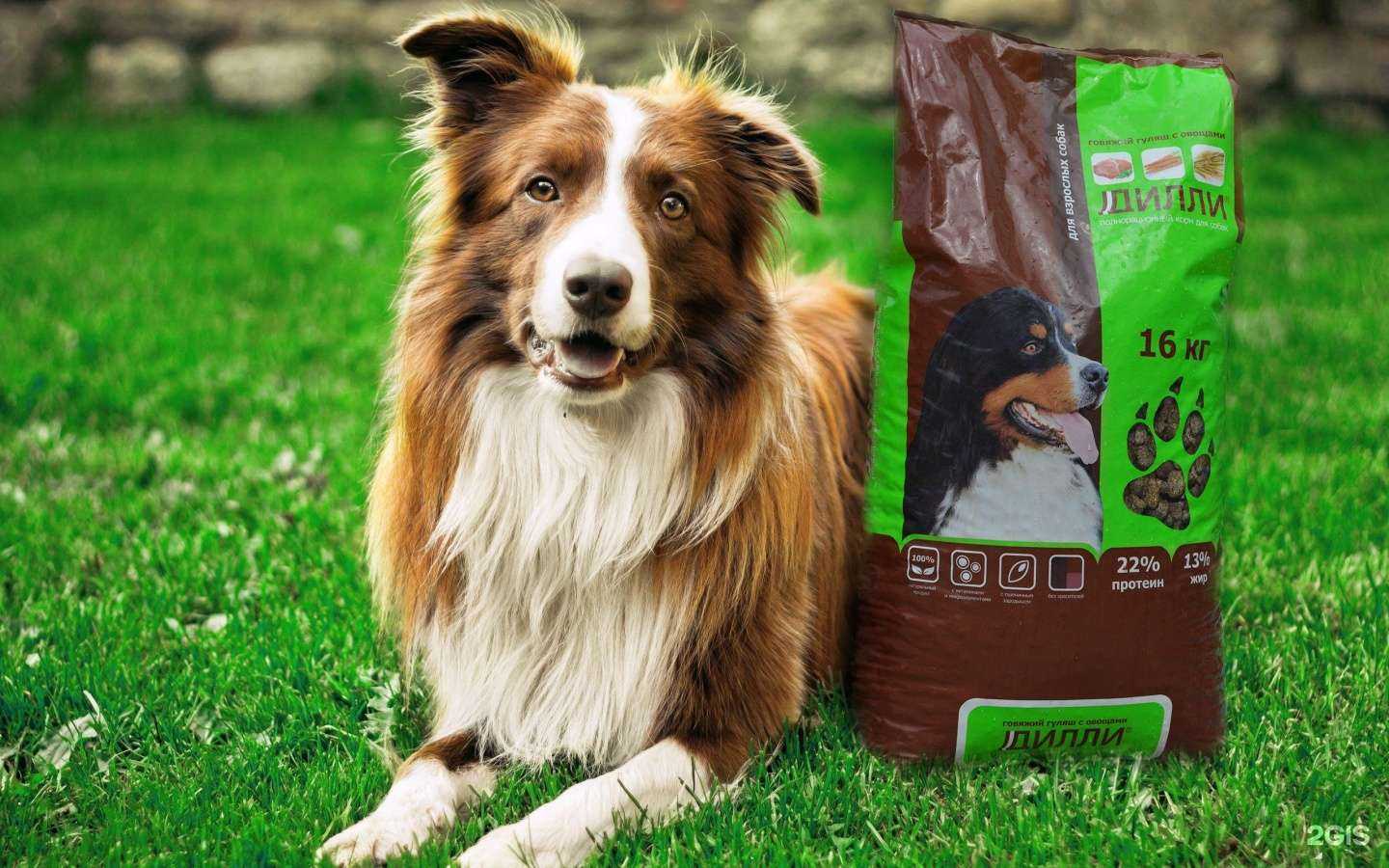 Отзывы на компанию Петто в Чите c фото