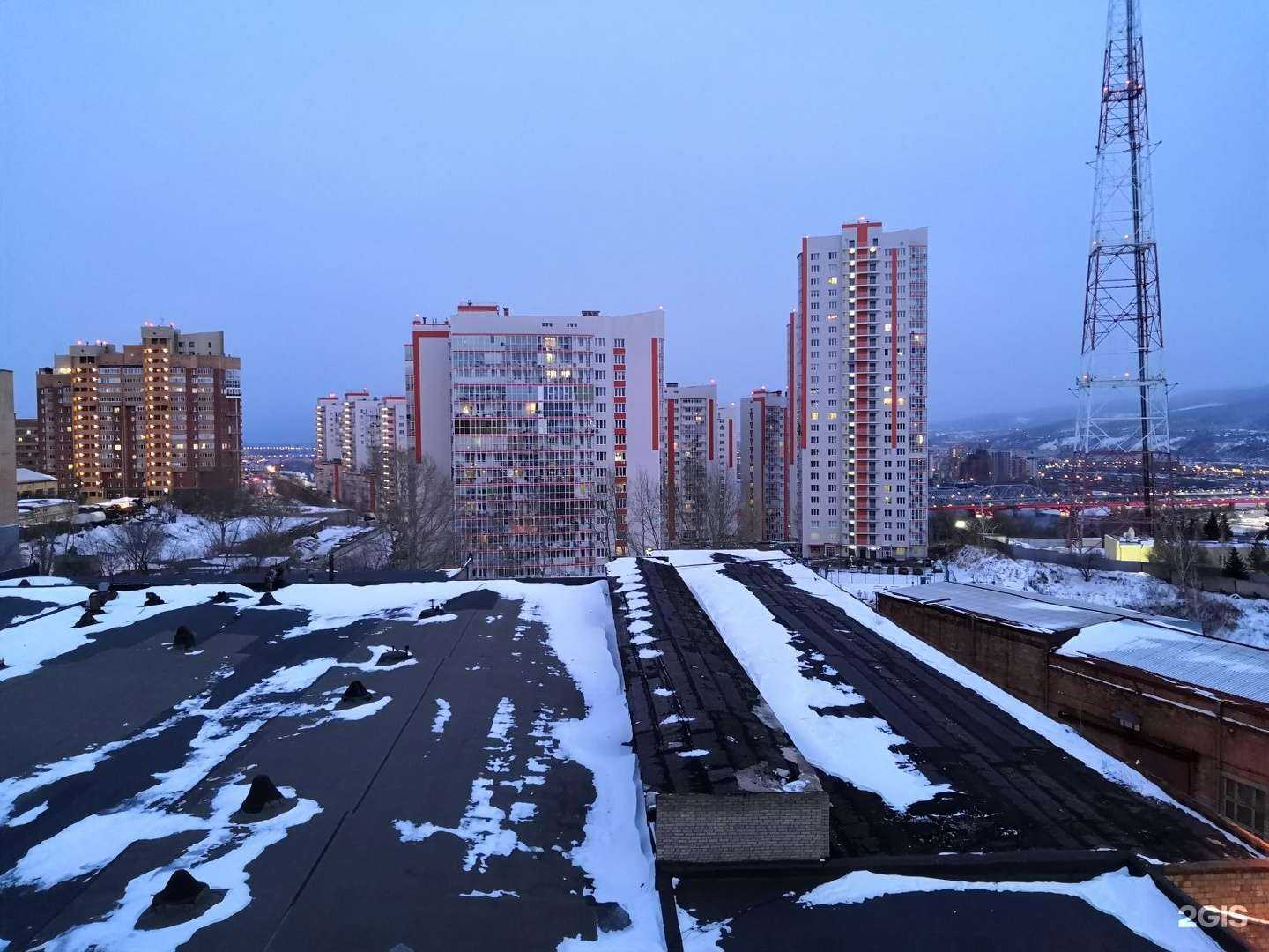 Отзывы на компанию ДариШарик.ру в Красноярске c фото - фотография 2 из 2