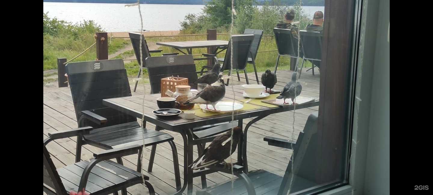 Отзывы на компанию Прованс в г. Медвежьегорск c фото