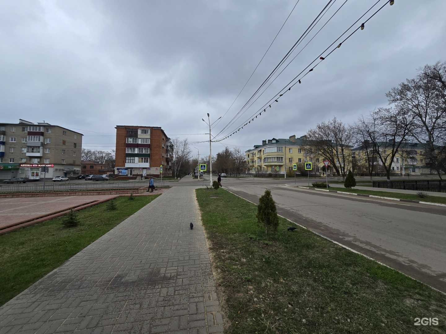 Отзывы на компанию Максавит в г. Котовск c фото