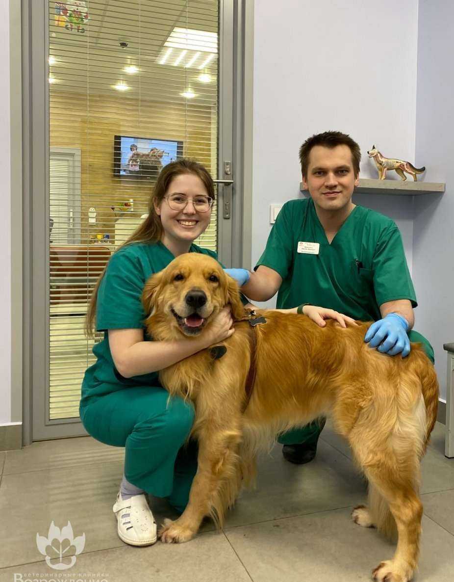 Отзывы на компанию Возрождение в г. Вологда c фото