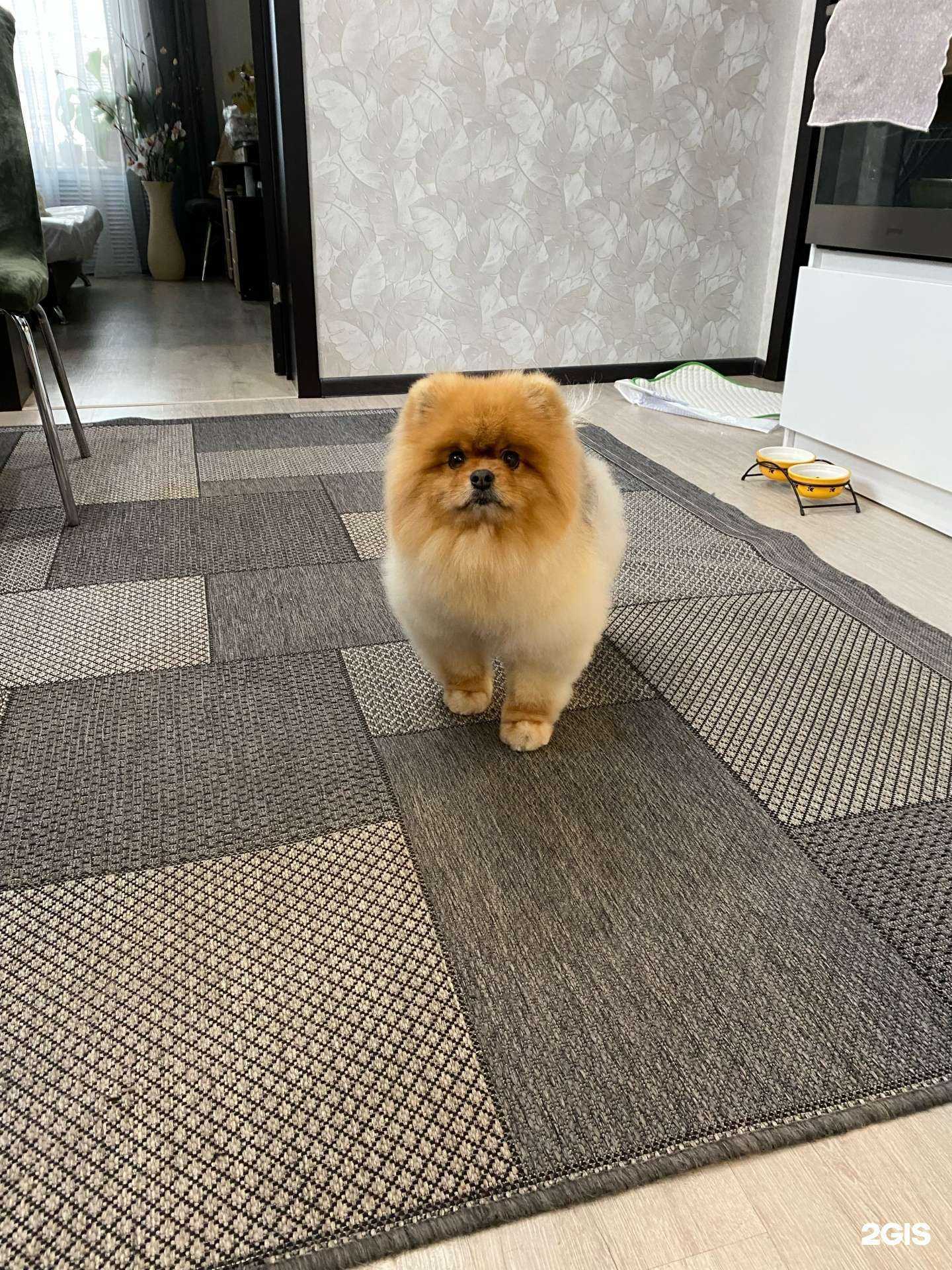 Отзывы на компанию Groom в Тамбове c фото