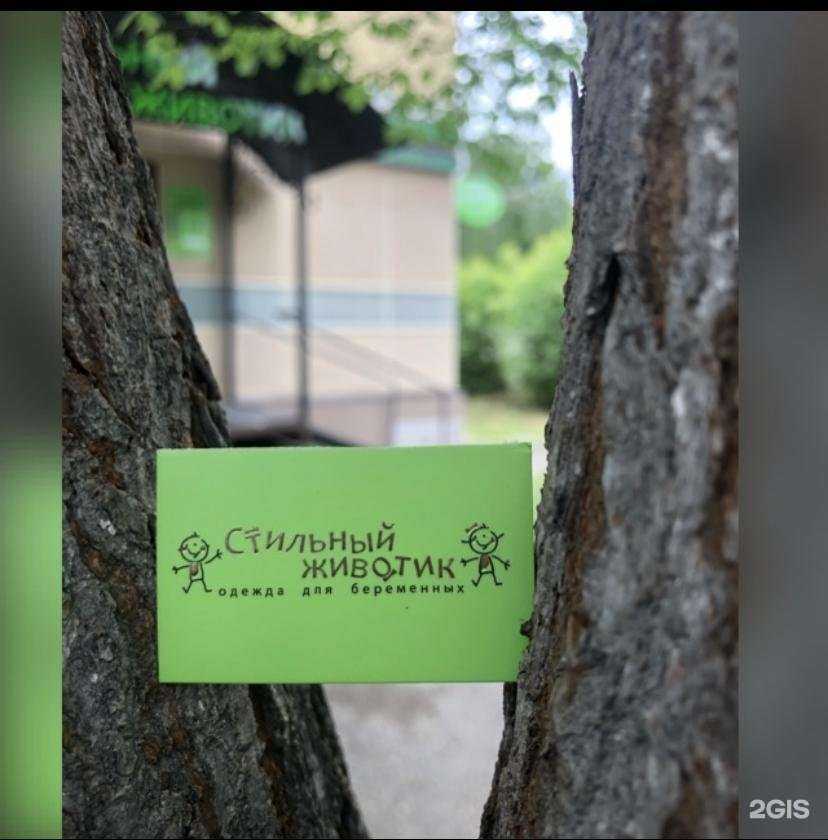 Отзывы на компанию Rizalina hair studio в Альметьевске c фото - фотография 2 из 2