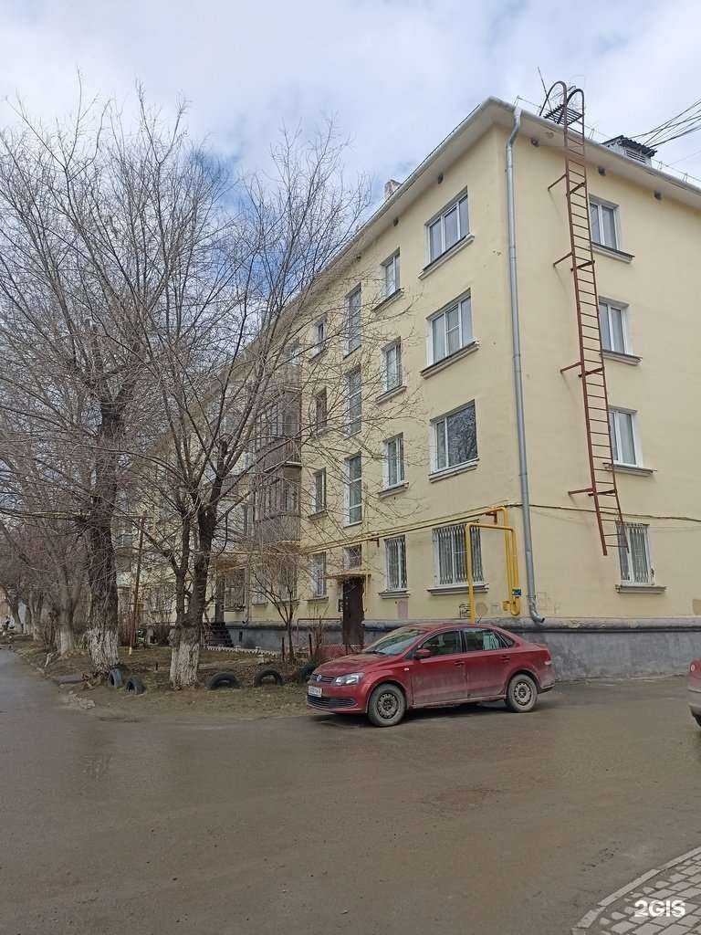 Отзывы на компанию ZOOмирово в Барнауле c фото - фотография 2 из 2