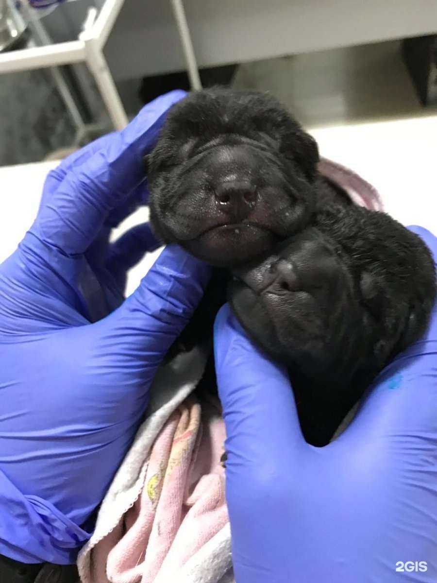 Отзывы на компанию Колибри в Ставрополе c фото