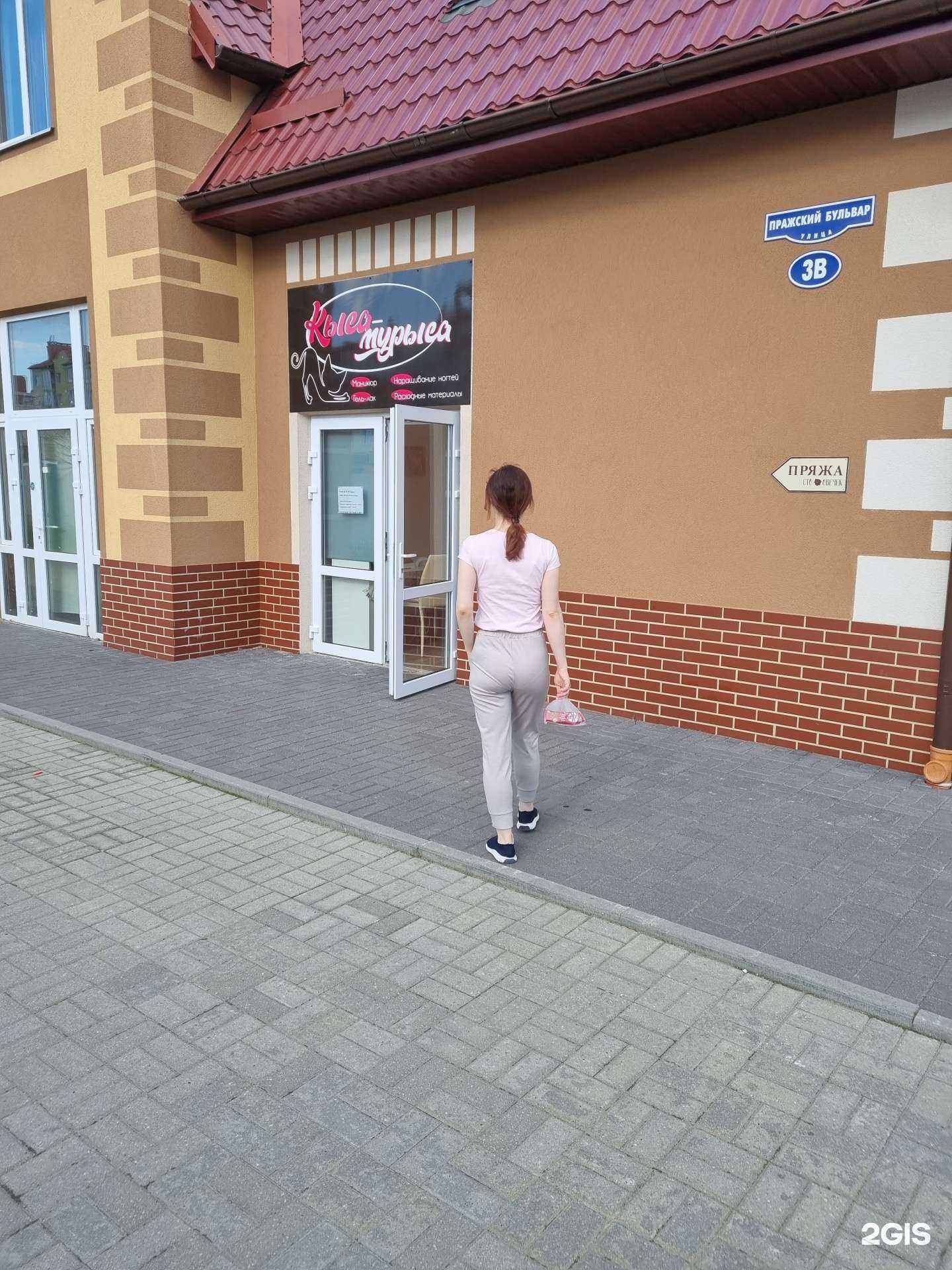 Отзывы на компанию Кыса-Мурыса в Гурьевске c фото