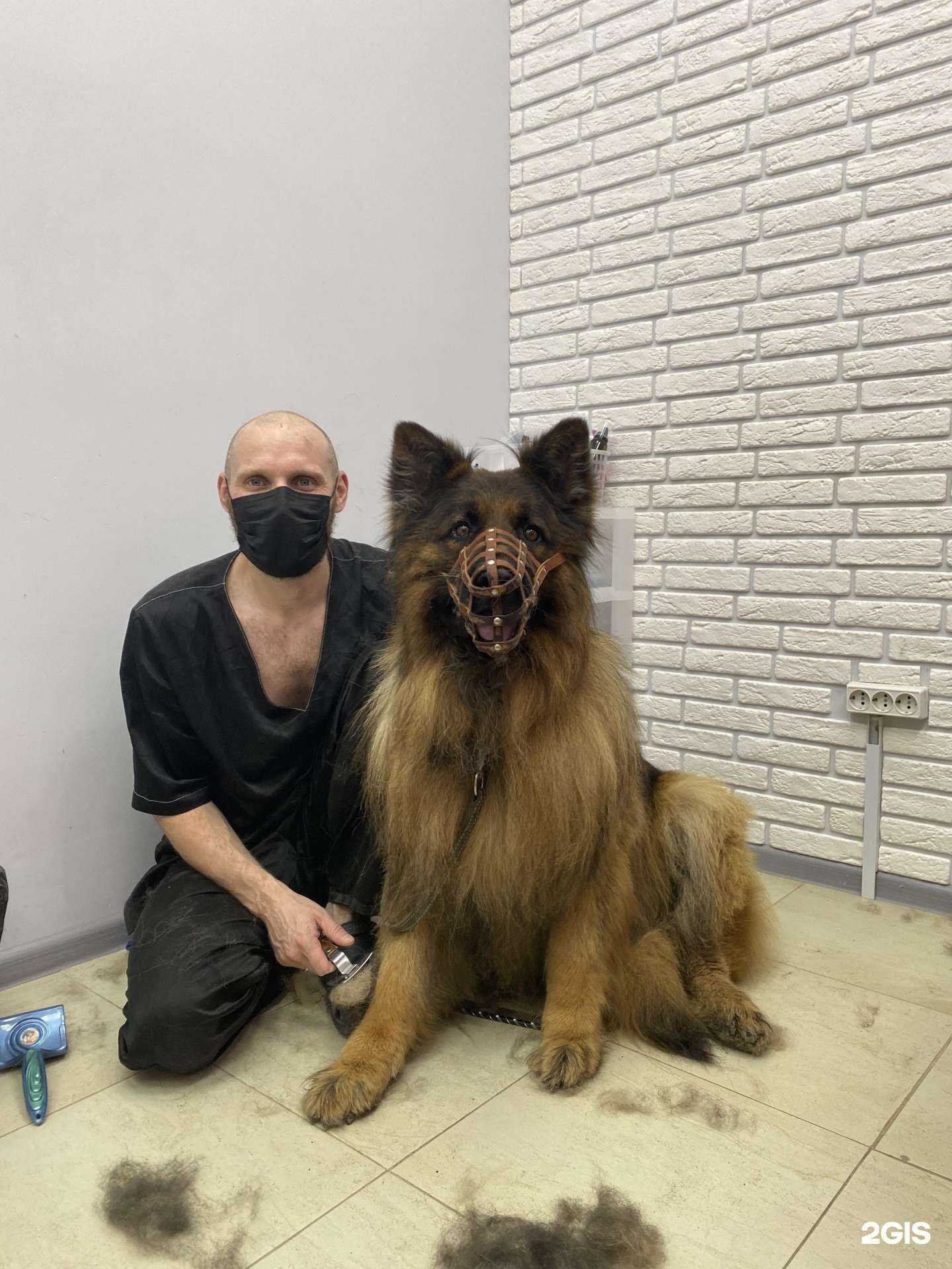 Отзывы на компанию Zooляля в г. Анапа c фото