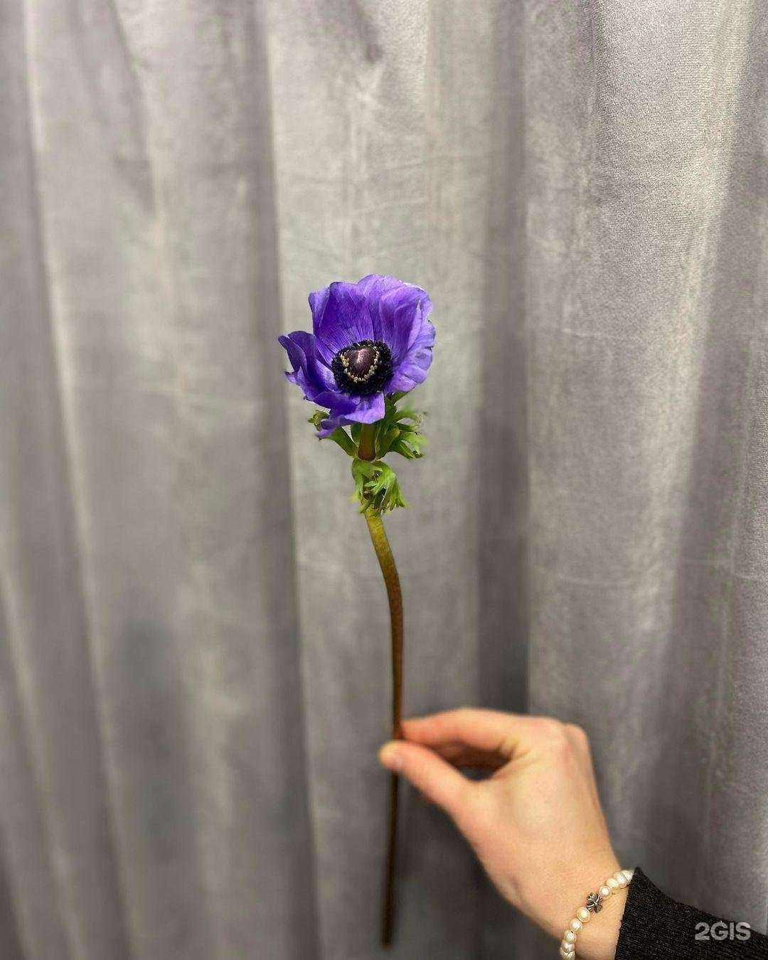 Отзывы на компанию Ромашка в г. Лыткарино c фото