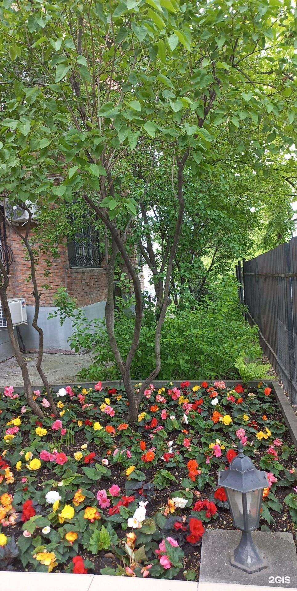 Отзывы на компанию Медицинский центр диагностики и лечения в г. Пятигорск c фото