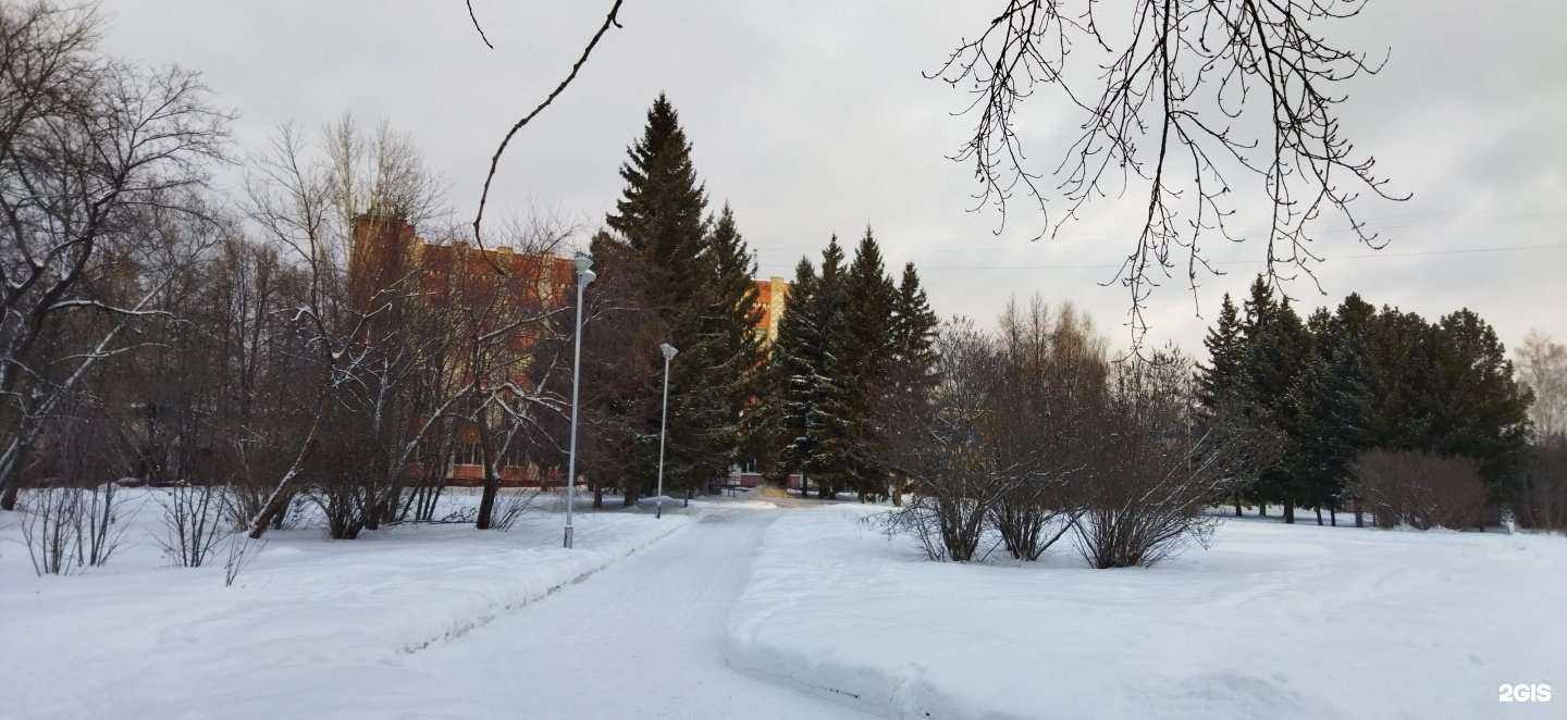 Отзывы на компанию Комитет архитектуры и градостроительства Администрации ЗАТО Северск в Северске c фото - фотография 2 из 2