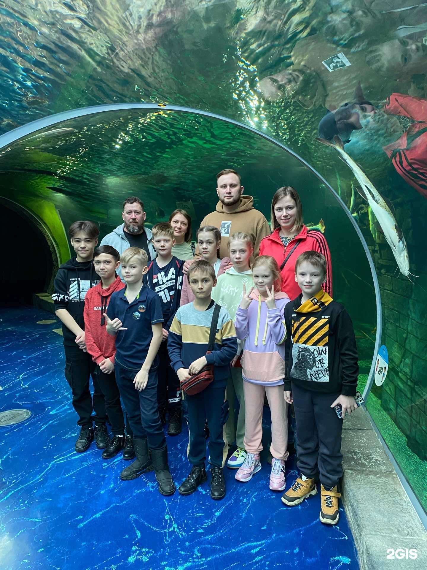 Отзывы на компанию Берсерк в г. Тюмень c фото