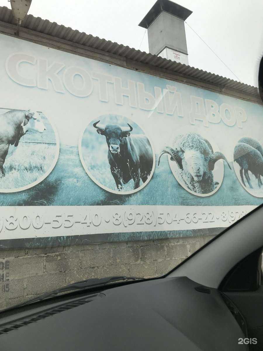 Отзывы на компанию Скотный двор в г. Махачкала c фото