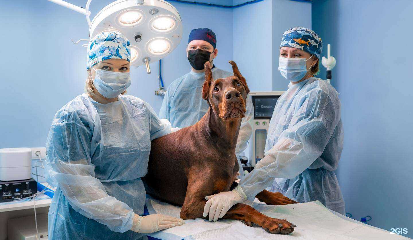 Отзывы на компанию Фотостудия Александра Ергазина в Калининграде c фото