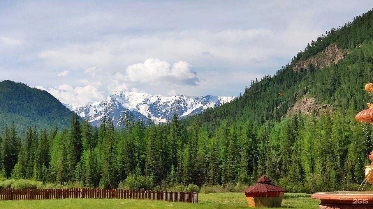 Отзывы на компанию Ветер Алтая в г. Новосибирск c фото