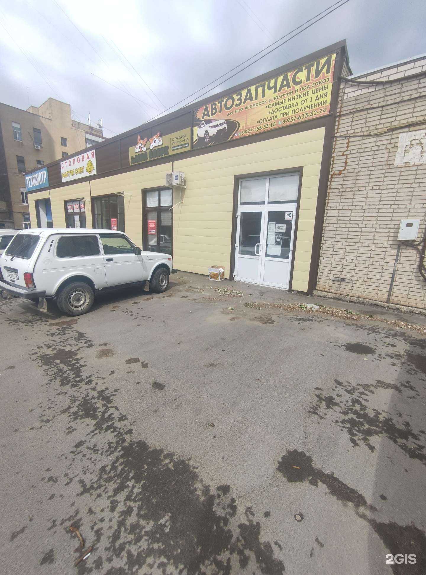 Отзывы на компанию Лапы вверх в г. Балаково c фото