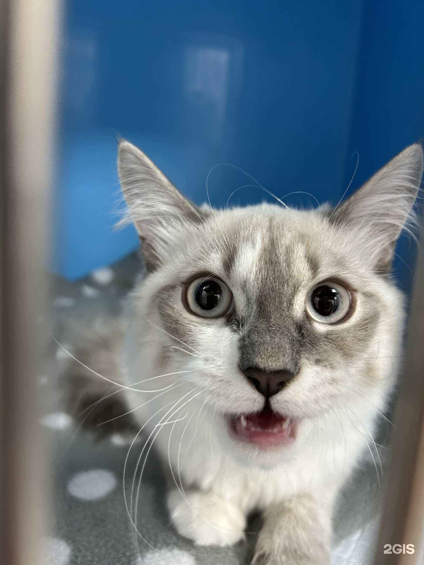 Отзывы на компанию Бетховен в г. Красноярск c фото