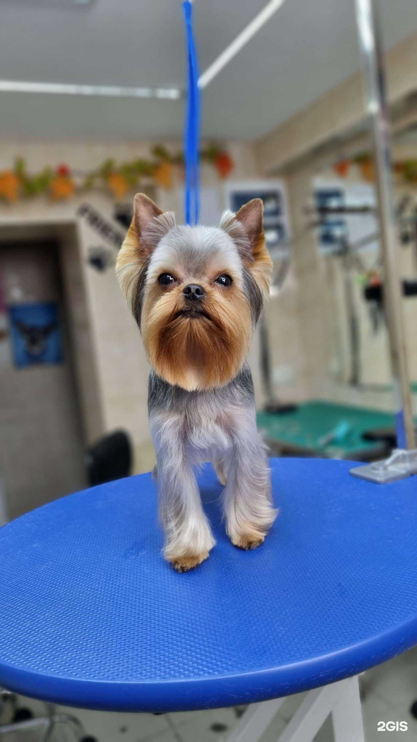 Отзывы на компанию Друзья в Сочи c фото