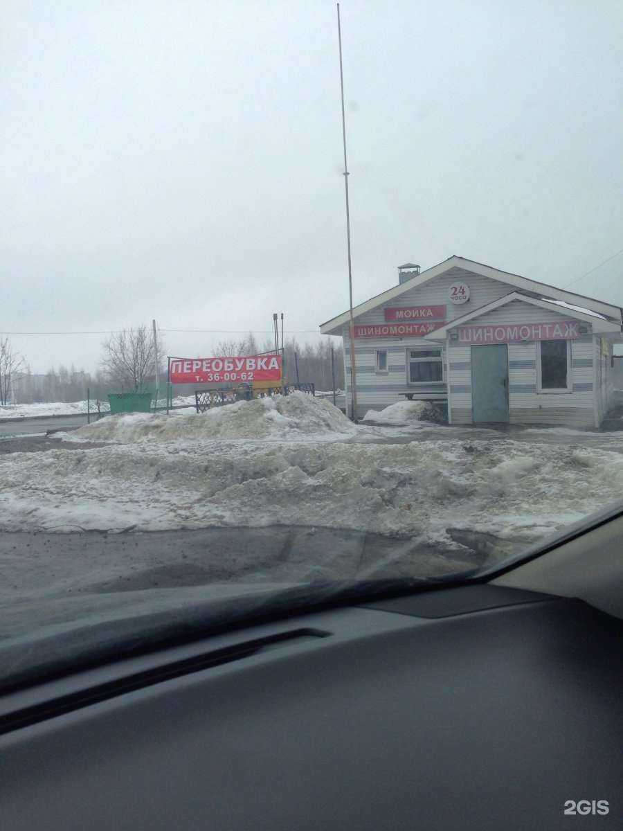 Отзывы на компанию Аквариум в г. Кострома c фото