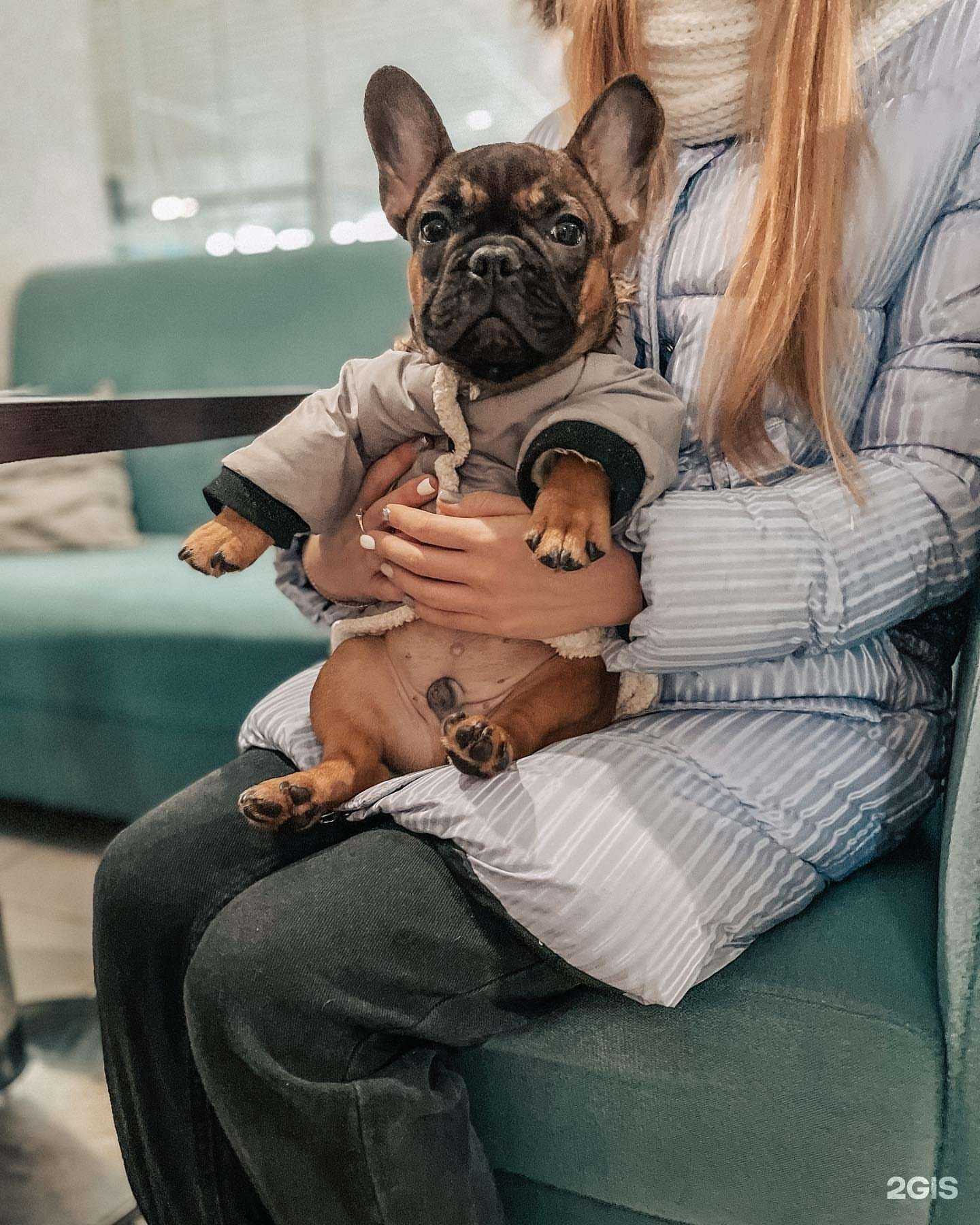 Отзывы на компанию Altcafe coffee food в г. Бердск c фото