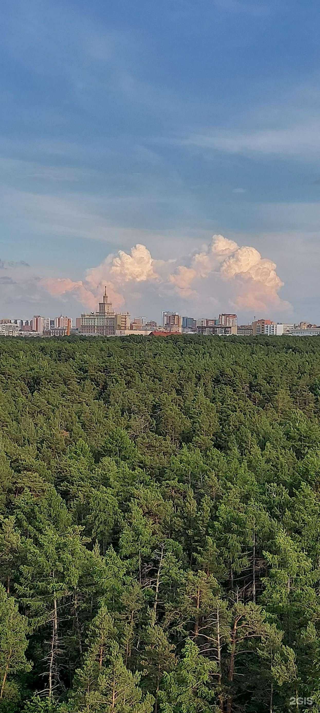 Отзывы на компанию Пятый элемент в Челябинске c фото - фотография 2 из 2