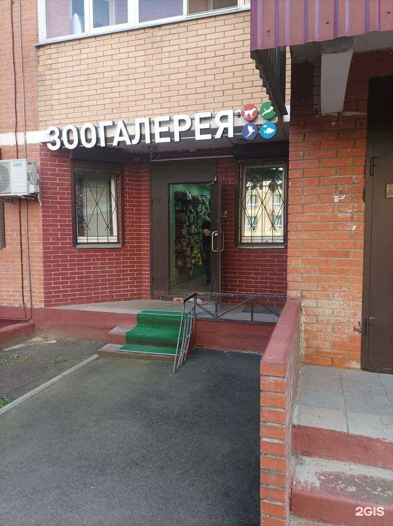 Отзывы на компанию Зоогалерея в г. Коммунарка c фото