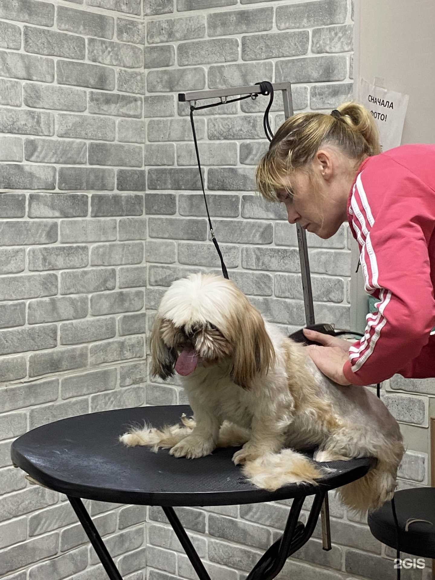 Отзывы на компанию Чарли в Дзержинске c фото