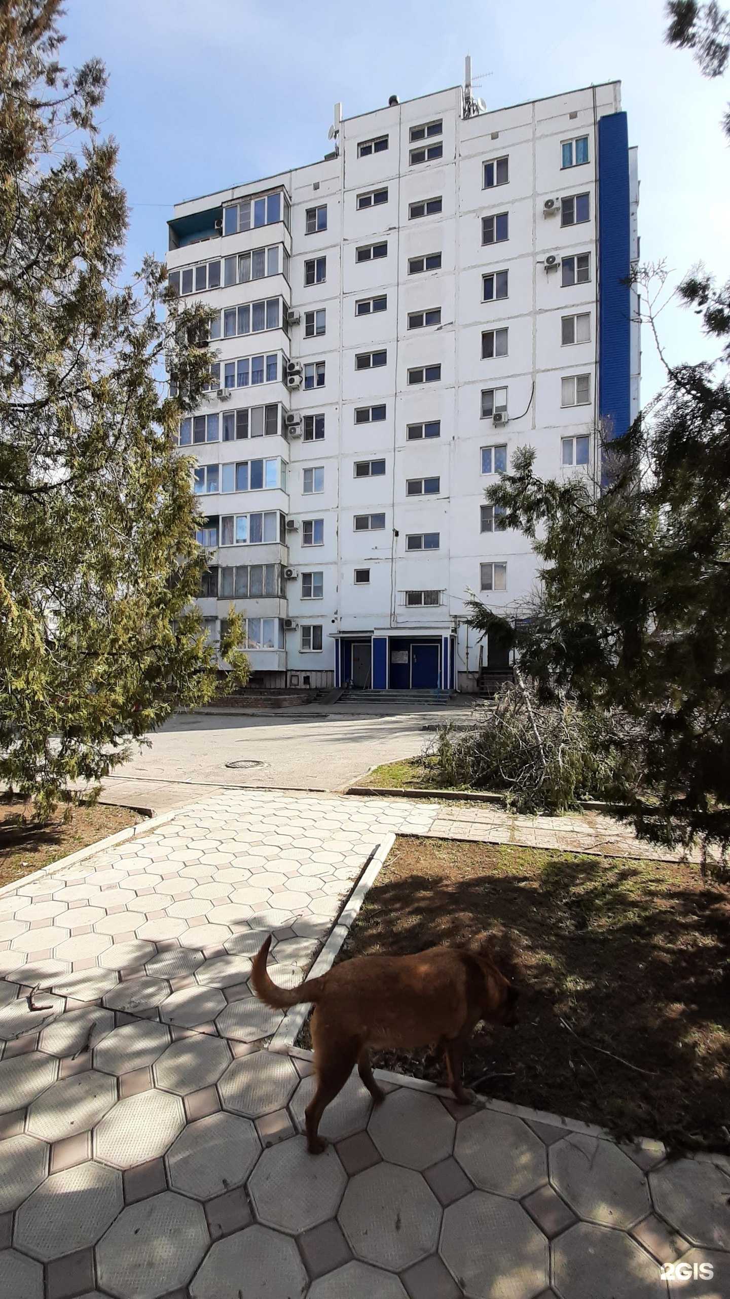 Отзывы на компанию Сашенька в Волгодонске c фото - фотография 2 из 2