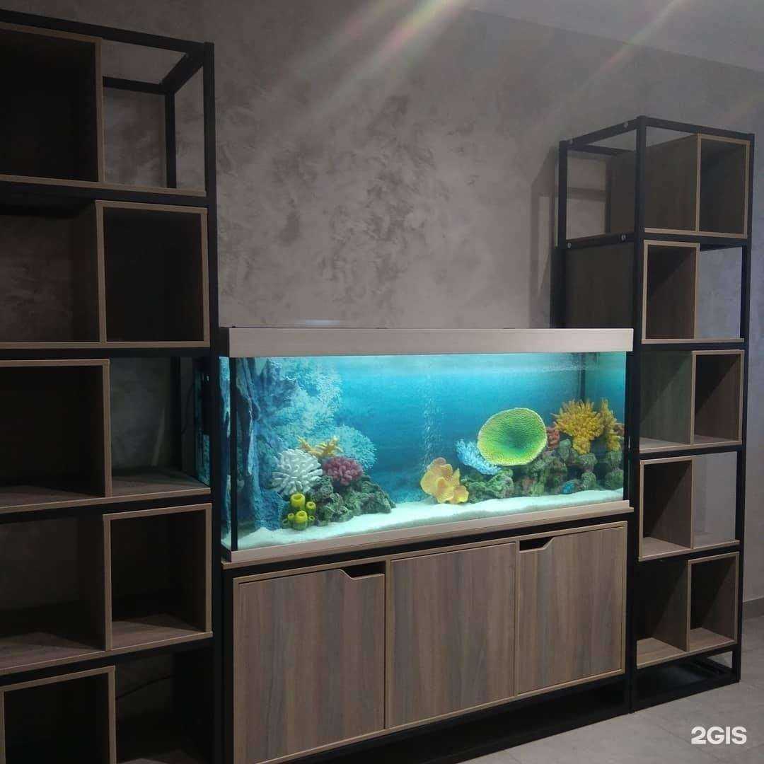 Отзывы на компанию Аквариум-Экзо в Казани c фото