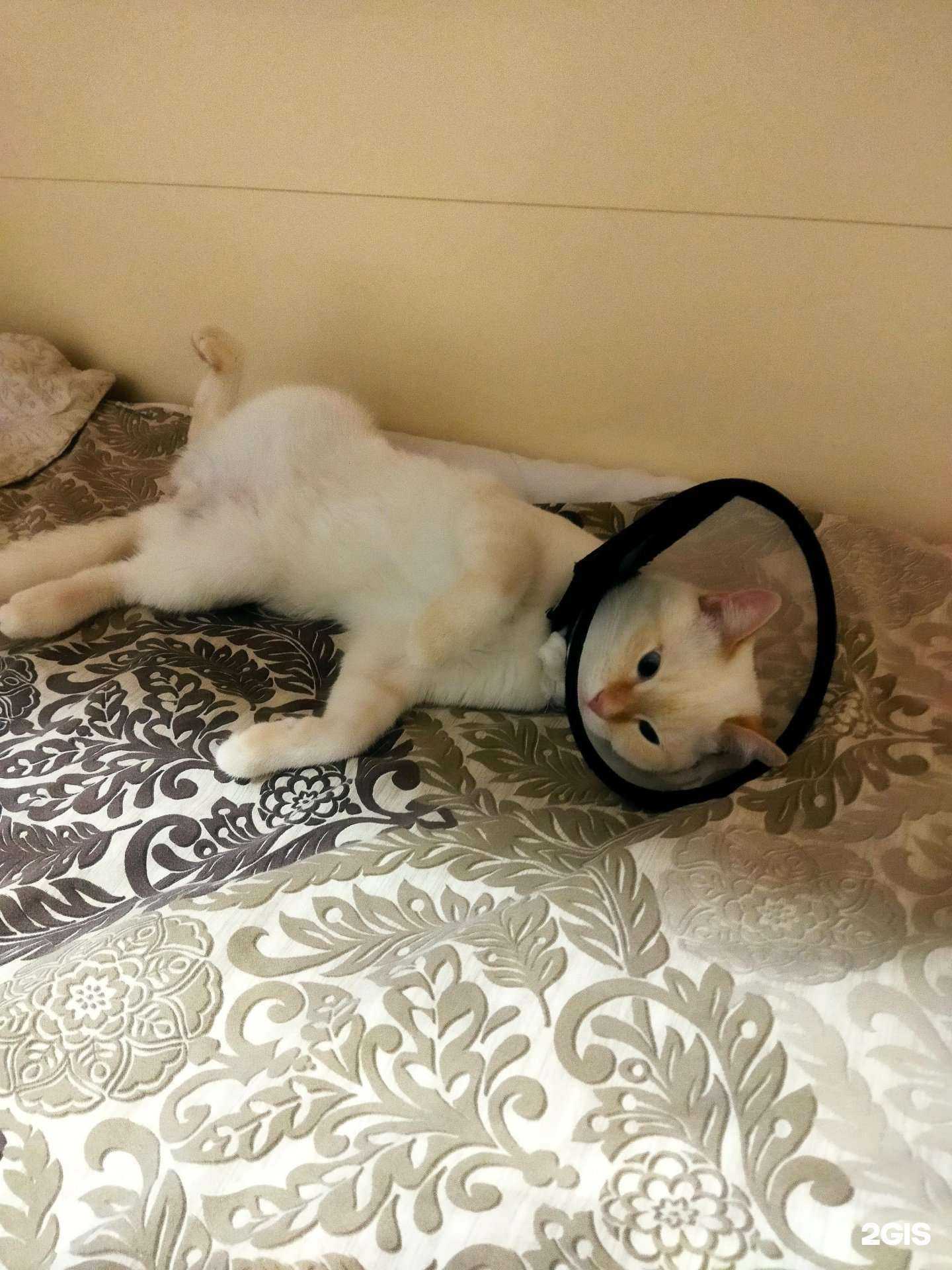 Отзывы на компанию Вита в Воронеже c фото