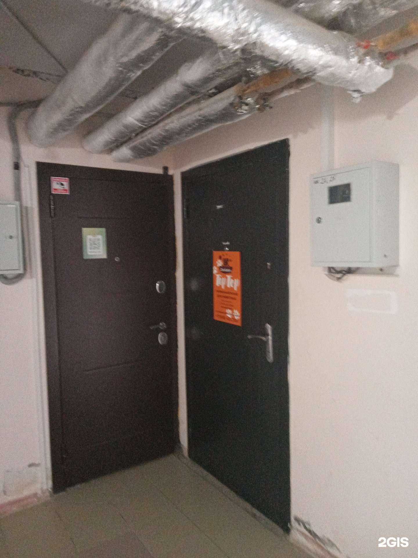 Отзывы на компанию Zoo top в Новороссийске c фото