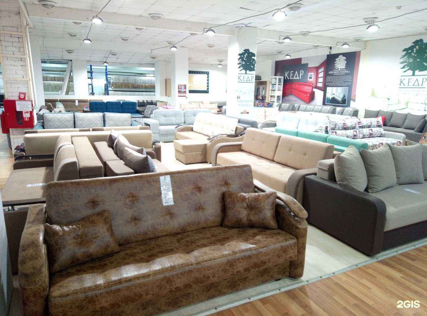 Отзывы на компанию Кедр в Костроме c фото