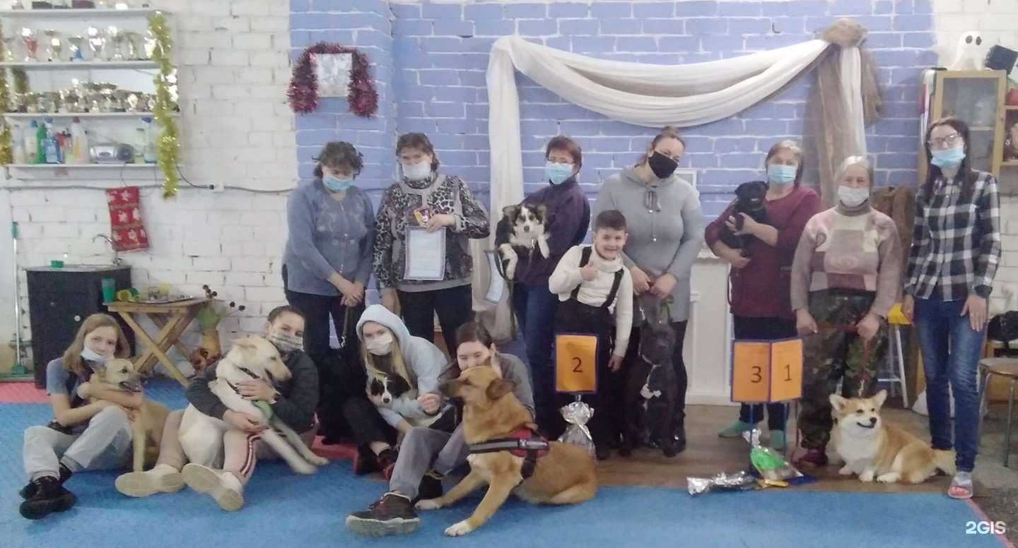 Отзывы на компанию Mighty dog planet в г. Петрозаводск c фото