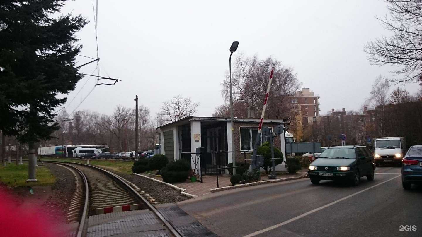 Отзывы на компанию KönigsBike в Светлогорске c фото - фотография 2 из 2