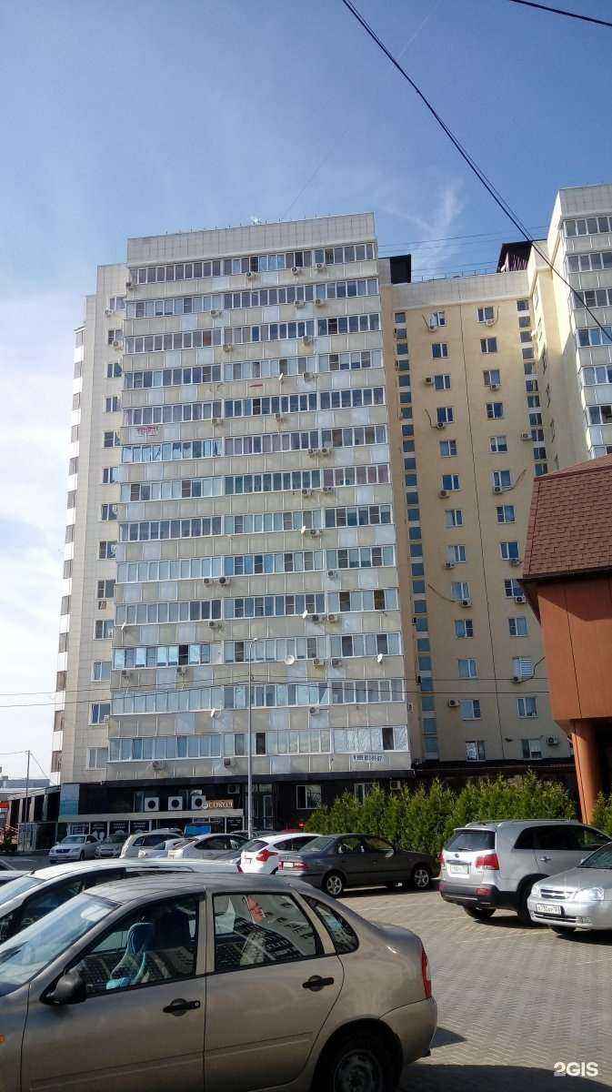 Отзывы на компанию Тренька в Краснодаре c фото - фотография 2 из 2